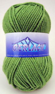 Gerlach 3421