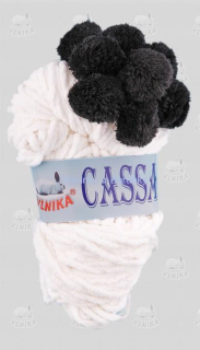 Cassandra č.14